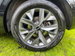 Kia Sportage 1.6 T-GDi ISG HEV GT-LINE 5dr Automatic 2024