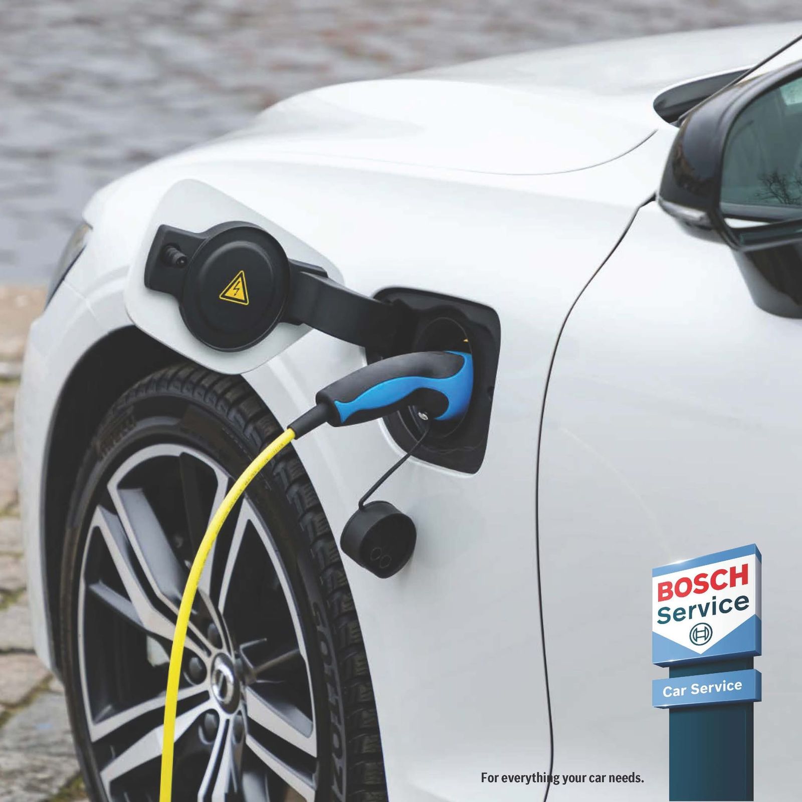 Electric vehicle Servicing Specialist 