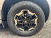 Nissan Navara 2.3 Navara Tekna dCi Auto 4WD 5dr 5dr Automatic 2019