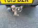 Isuzu D-Max 1.9 TD Utility 4WD Euro 6 4dr 4dr Manual 2019
