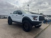 Ford Ranger 2.0L Dirty Unicorn Wildtrak EcoBlue 4x4 Auto Diesel Automatic Euro 6 (209 bhp) 5dr Automatic 2026
