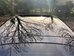 Mercedes-Benz GLC-Class GLC 250 D 4MATIC AMG LINE PREM 5dr Automatic 2019