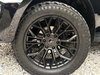 Ford Ranger 2.0 EcoBlue Wildtrak Auto 4WD Euro 6 (s/s) 4dr 4dr Automatic 2026