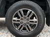 Ford Ranger 2.0 EcoBlue Wildtrak Auto 4WD Euro 6 (s/s) 4dr 4dr Automatic 2026