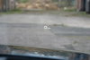 Audi A4 Avant 3.0 TDI V6 Sport S Tronic quattro Euro 6 (s/s) 5dr 5dr Automatic 2026
