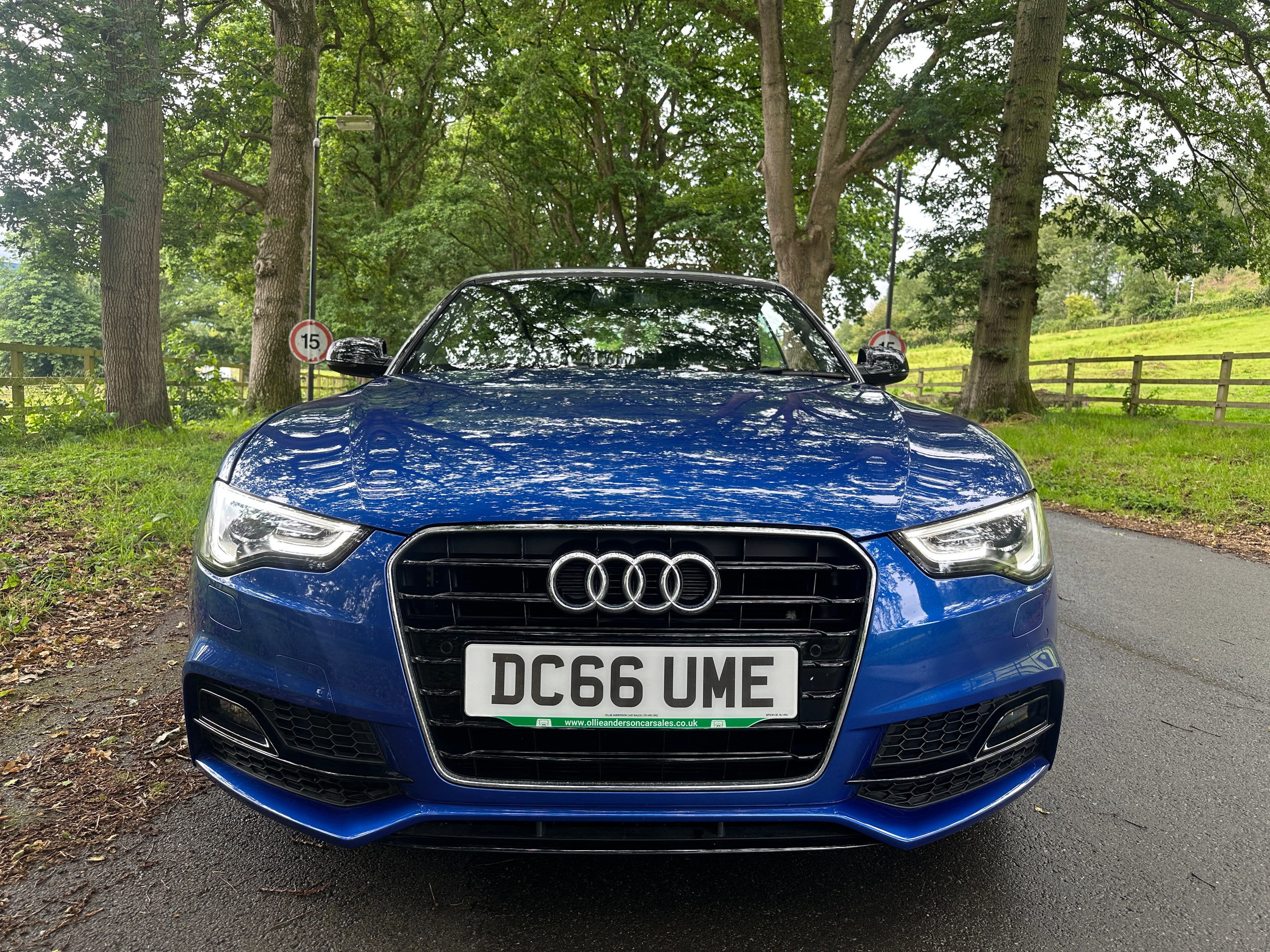 Audi A5 Cabriolet 2.0 TDI S line Special Edition Plus Convertible 2dr Diesel Manual Euro 6 (s/s) (150 ps) 2dr Manual 2016