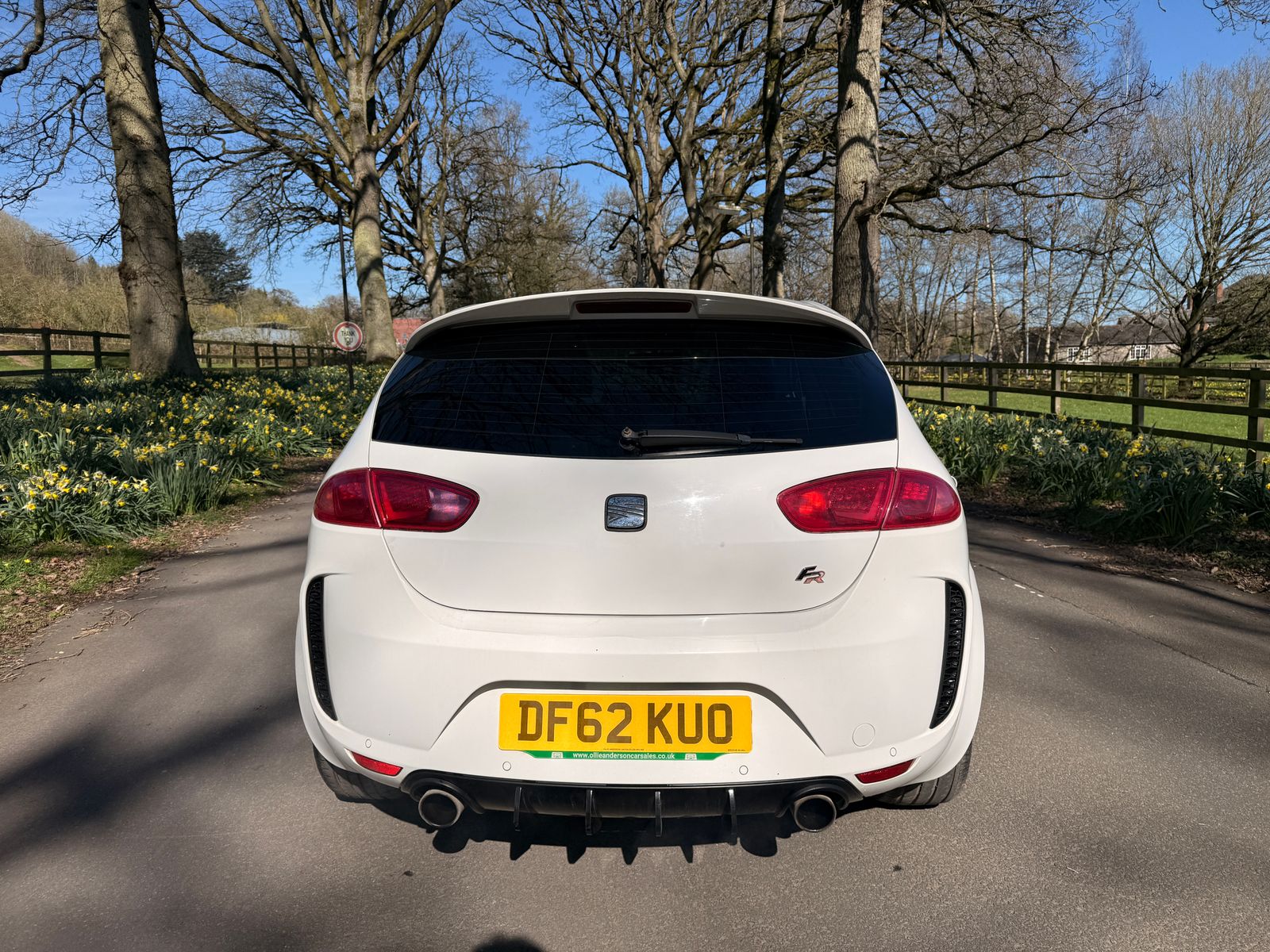 Seat Leon 2.0 TDI CR FR+ Supercopa Hatchback 5dr Diesel Manual Euro 5 (170 ps) 5dr Manual 2013
