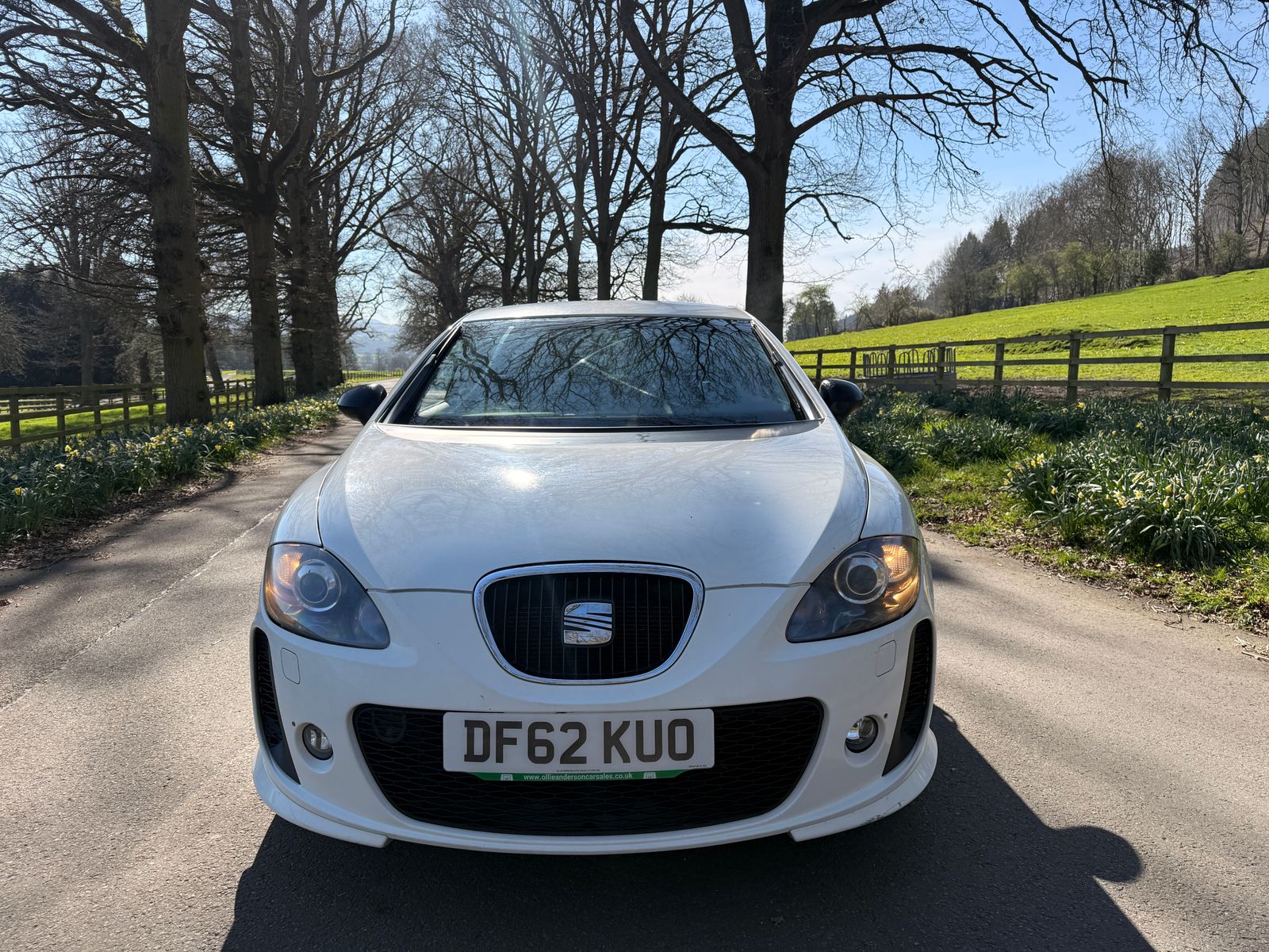 Seat Leon 2.0 TDI CR FR+ Supercopa Hatchback 5dr Diesel Manual Euro 5 (170 ps) 5dr Manual 2013