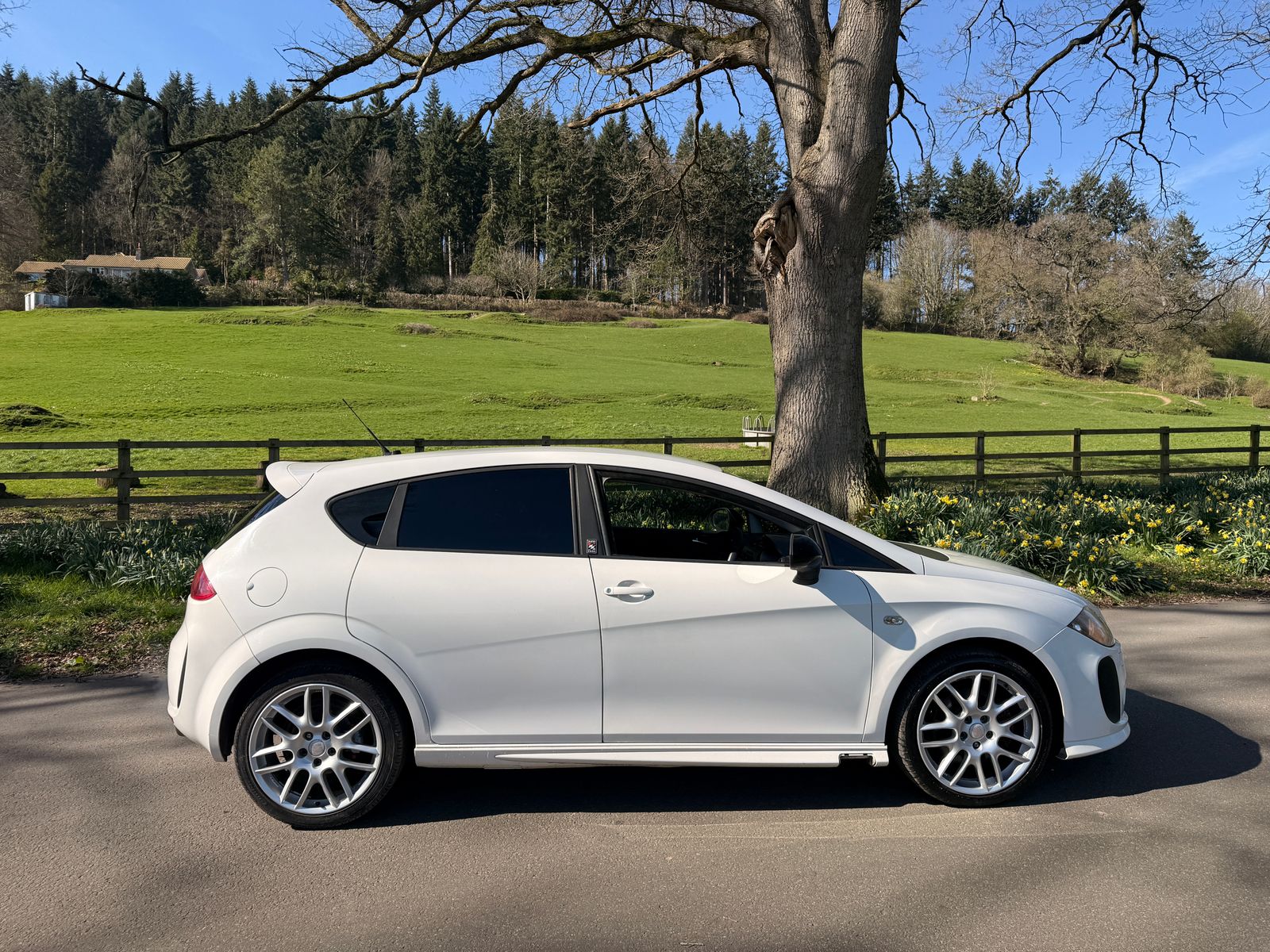 Seat Leon 2.0 TDI CR FR+ Supercopa Hatchback 5dr Diesel Manual Euro 5 (170 ps) 5dr Manual 2013