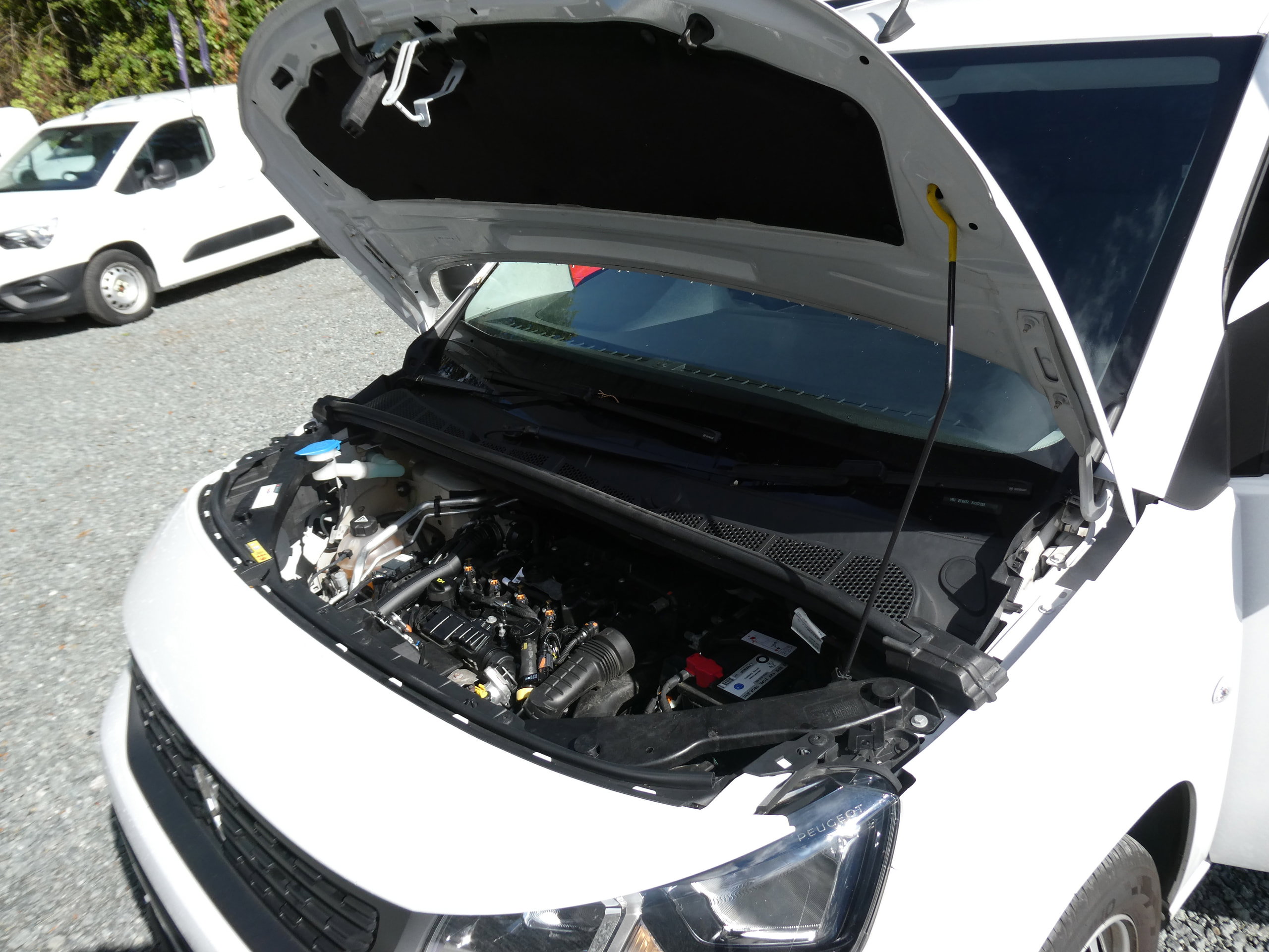 Peugeot Partner 1.5 BlueHDi 1000 Professional Premium + Standard Panel Van 5dr Diesel Manual SWB Euro 6 (s/s) (100 bhp) 5dr Manual 2024