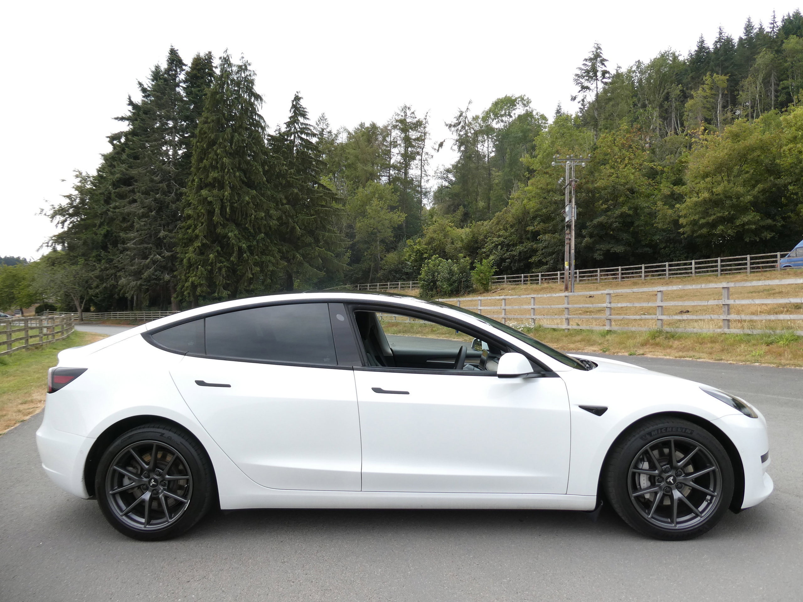 Tesla Model 3 Standard Range Plus Saloon 4dr Electric Auto RWD (241 bhp) 4dr Automatic 2021