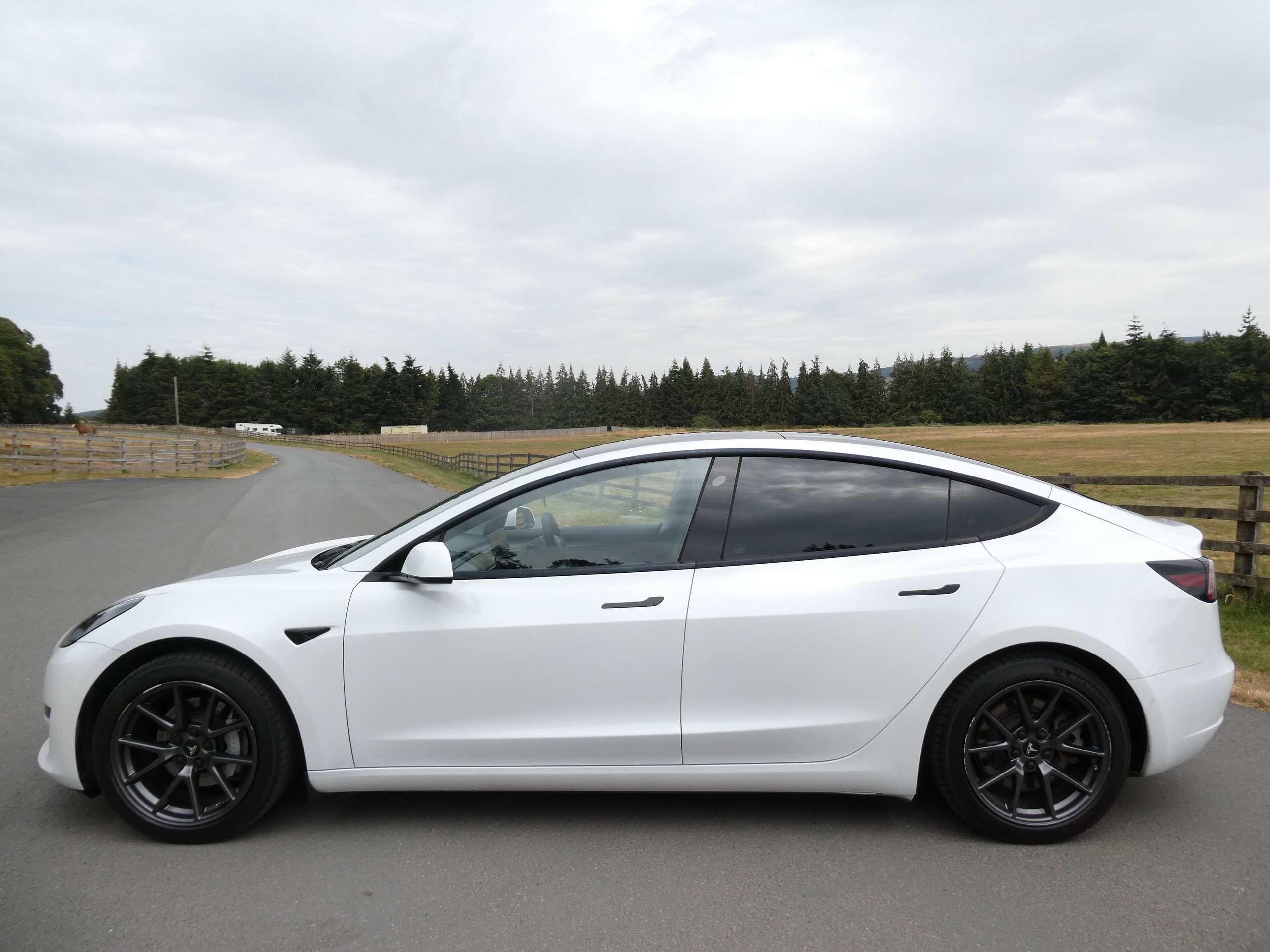 Tesla Model 3 Standard Range Plus Saloon 4dr Electric Auto RWD (241 bhp) 4dr Automatic 2021