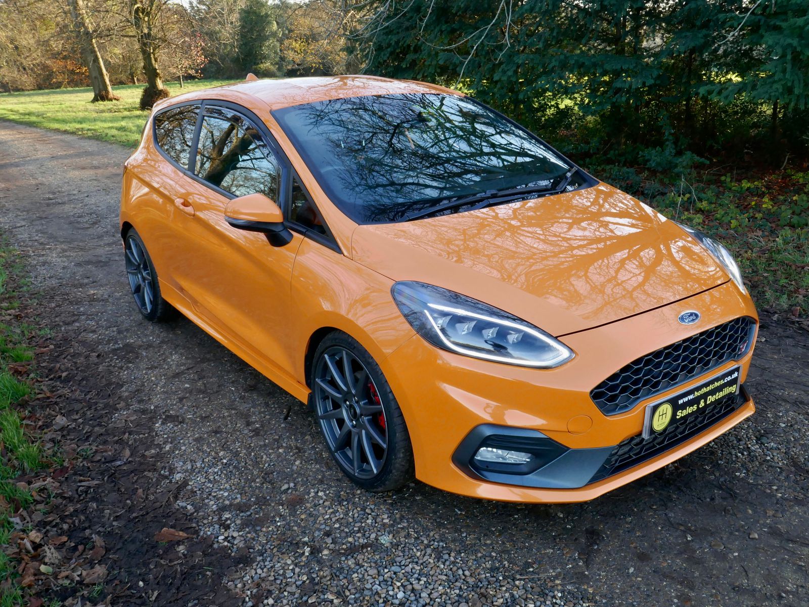Ford Fiesta 1.5T EcoBoost ST Performance Edition Hatchback 3dr Petrol Manual Euro 6 (s/s) (200 ps) 3dr Manual 2026