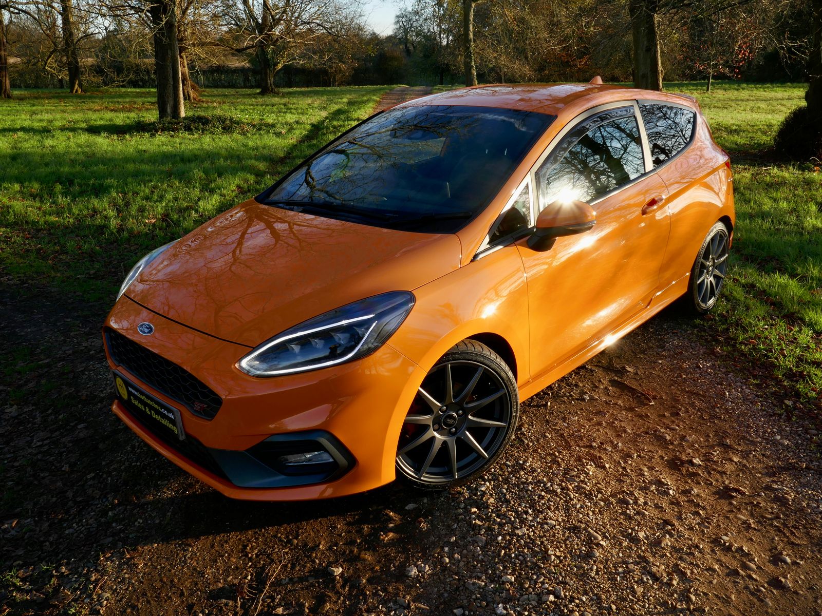 Ford Fiesta 1.5T EcoBoost ST Performance Edition Hatchback 3dr Petrol Manual Euro 6 (s/s) (200 ps) 3dr Manual 2026