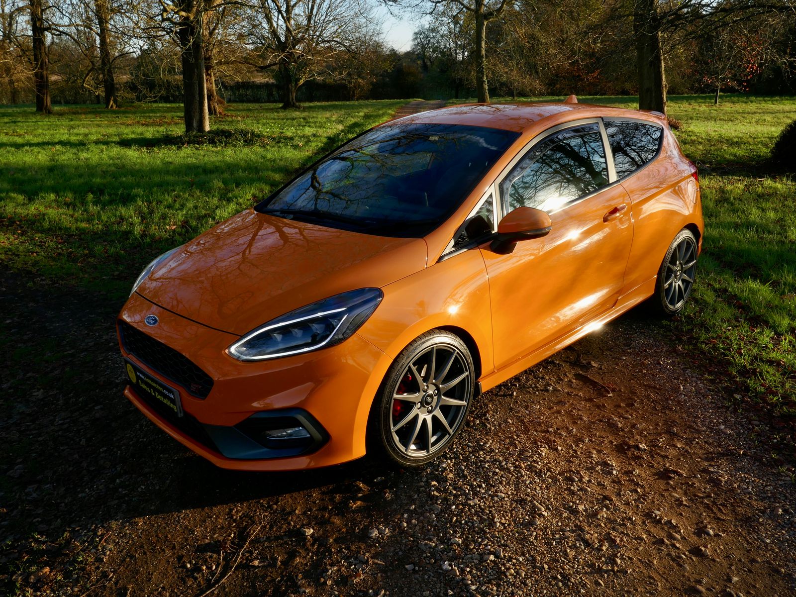 Ford Fiesta 1.5T EcoBoost ST Performance Edition Hatchback 3dr Petrol Manual Euro 6 (s/s) (200 ps) 3dr Manual 2026