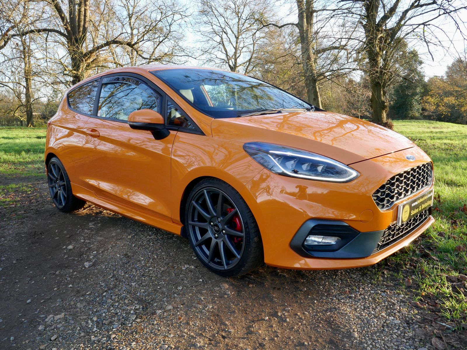 Ford Fiesta 1.5T EcoBoost ST Performance Edition Hatchback 3dr Petrol Manual Euro 6 (s/s) (200 ps) 3dr Manual 2026