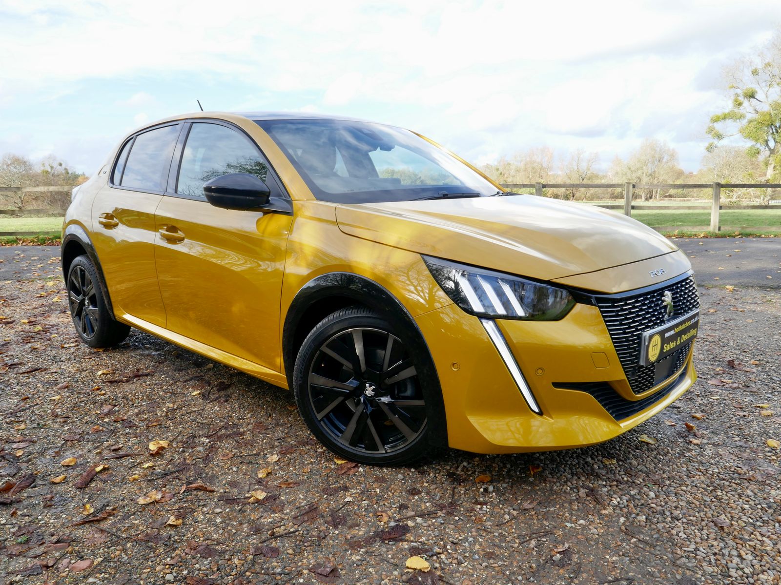 Peugeot 208 1.2 PureTech GT Premium Hatchback 5dr Petrol Manual Euro 6 (s/s) (100 ps) 5dr Manual 2026