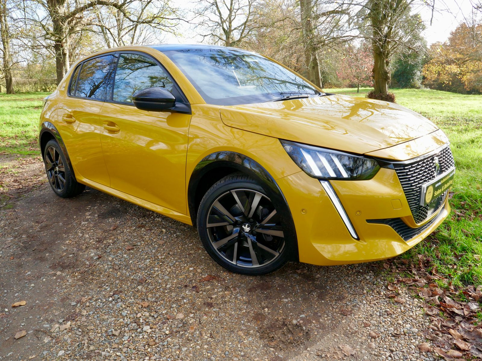 Peugeot 208 1.2 PureTech GT Premium Hatchback 5dr Petrol Manual Euro 6 (s/s) (100 ps) 5dr Manual 2026