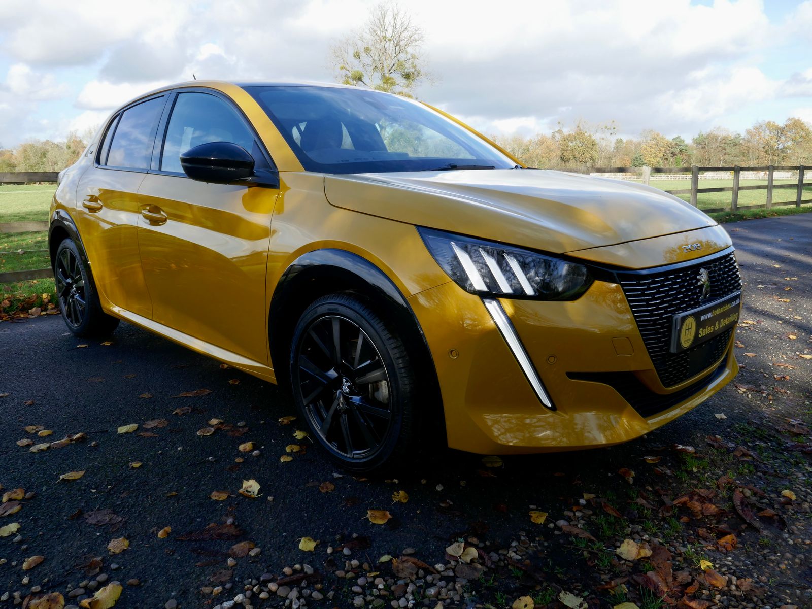 Peugeot 208 1.2 PureTech GT Premium Hatchback 5dr Petrol Manual Euro 6 (s/s) (100 ps) 5dr Manual 2026
