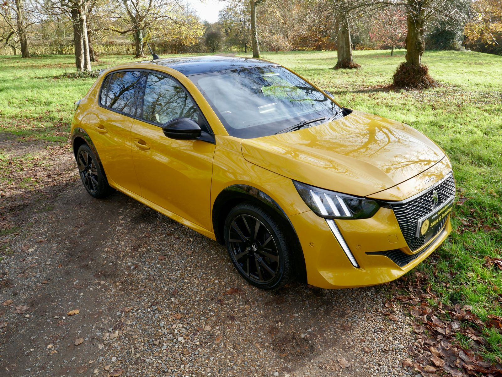 Peugeot 208 1.2 PureTech GT Premium Hatchback 5dr Petrol Manual Euro 6 (s/s) (100 ps) 5dr Manual 2026
