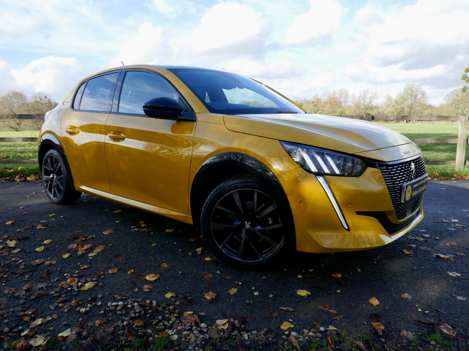 Peugeot 208 1.2 PureTech GT Premium Hatchback 5dr Petrol Manual Euro 6 (s/s) (100 ps) 5dr Manual 2026