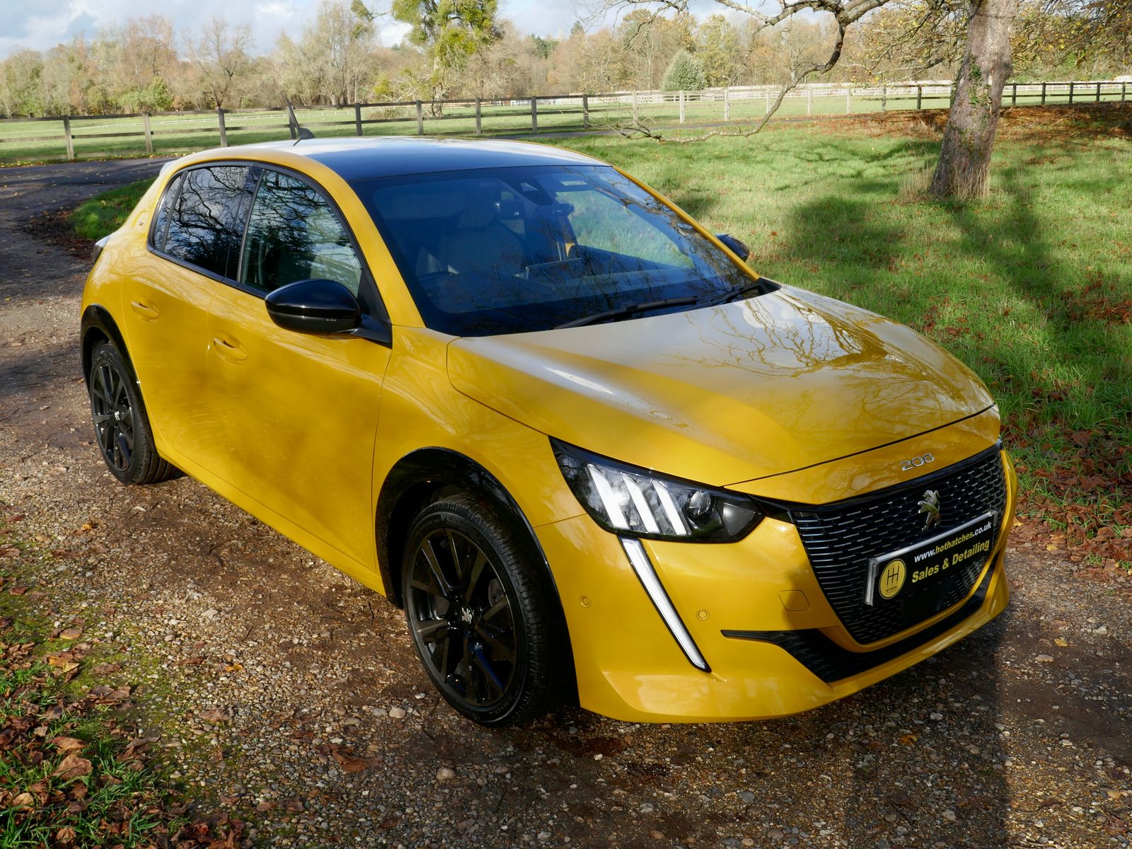 Peugeot 208 1.2 PureTech GT Premium Hatchback 5dr Petrol Manual Euro 6 (s/s) (100 ps) 5dr Manual 2026