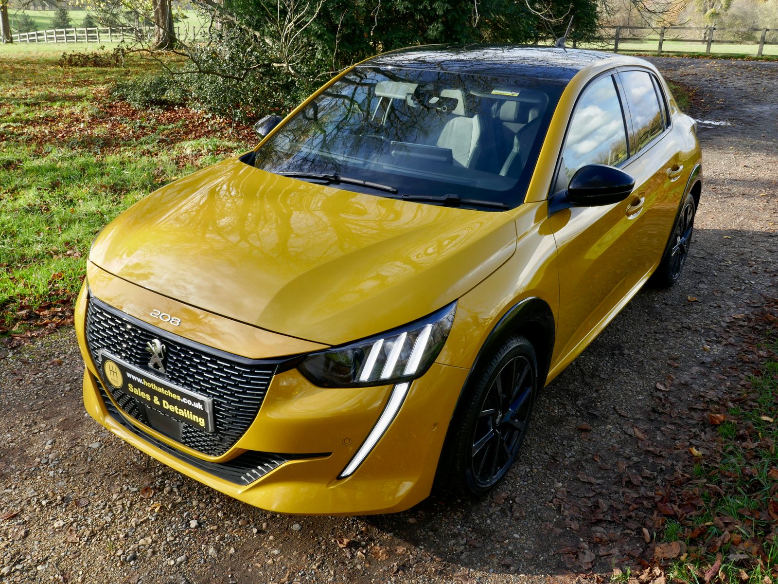 Peugeot 208 1.2 PureTech GT Premium Hatchback 5dr Petrol Manual Euro 6 (s/s) (100 ps) 5dr Manual 2026