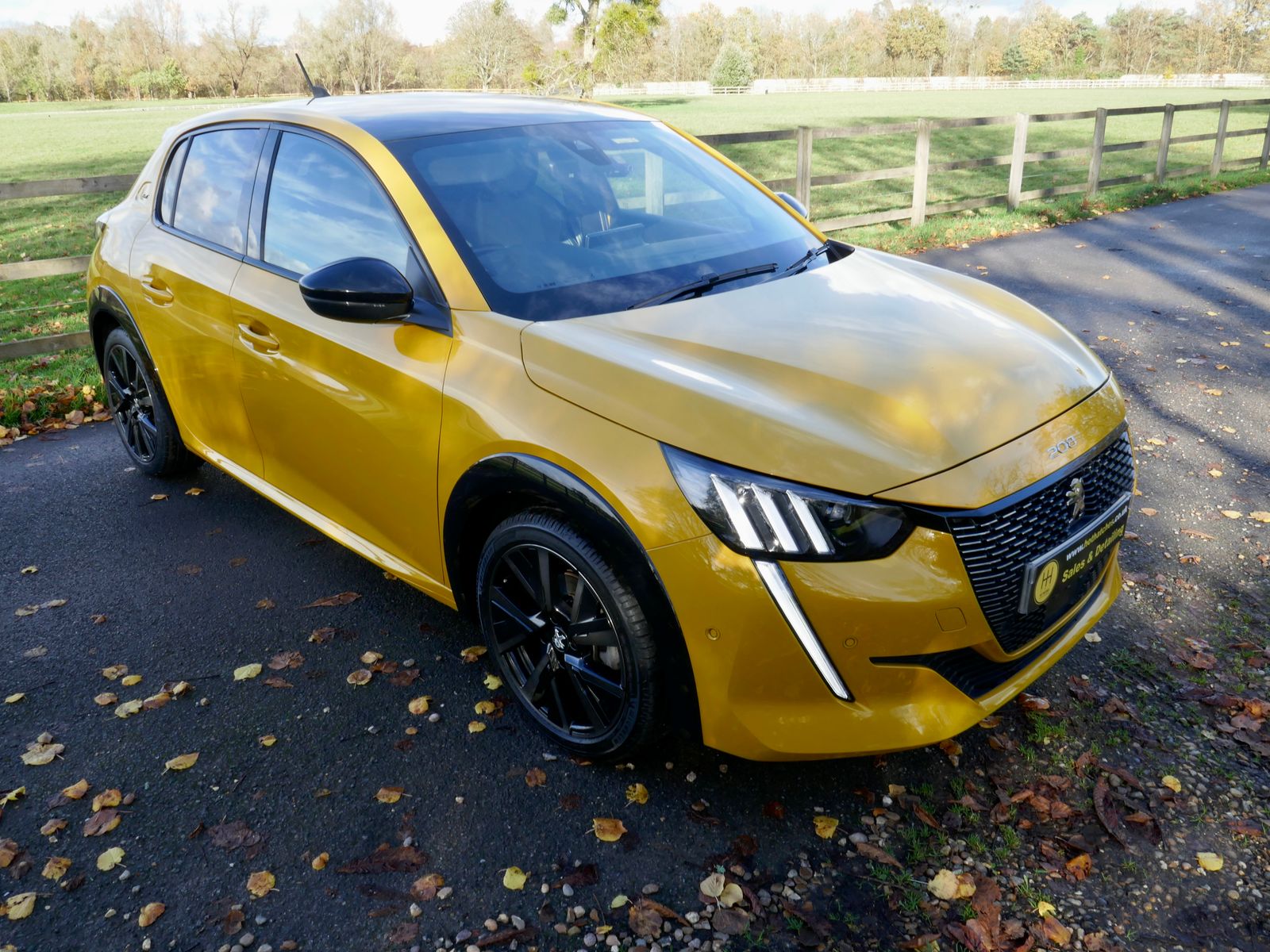 Peugeot 208 1.2 PureTech GT Premium Hatchback 5dr Petrol Manual Euro 6 (s/s) (100 ps) 5dr Manual 2026