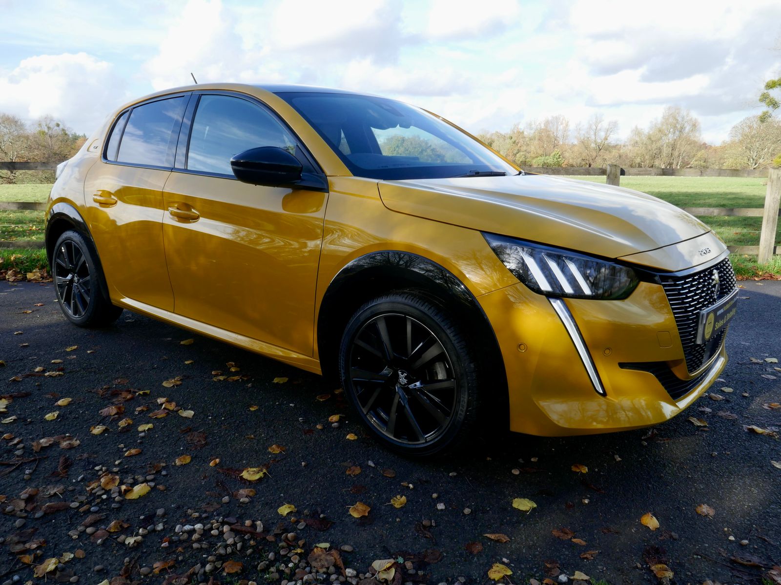 Peugeot 208 1.2 PureTech GT Premium Hatchback 5dr Petrol Manual Euro 6 (s/s) (100 ps) 5dr Manual 2026