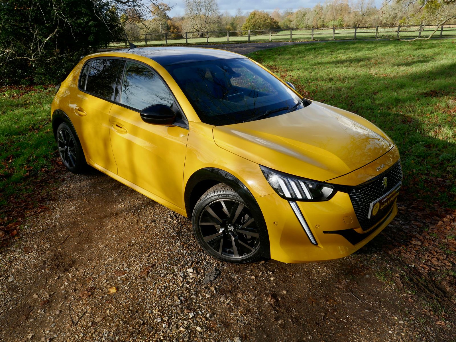 Peugeot 208 1.2 PureTech GT Premium Hatchback 5dr Petrol Manual Euro 6 (s/s) (100 ps) 5dr Manual 2026