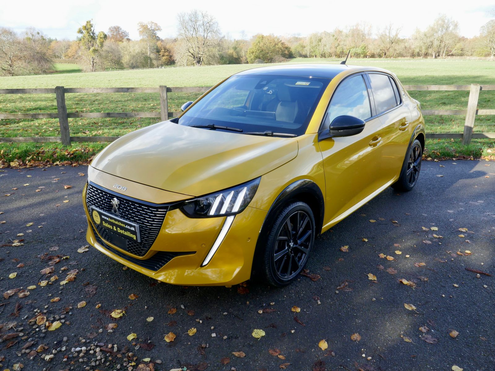 Peugeot 208 1.2 PureTech GT Premium Hatchback 5dr Petrol Manual Euro 6 (s/s) (100 ps) 5dr Manual 2026