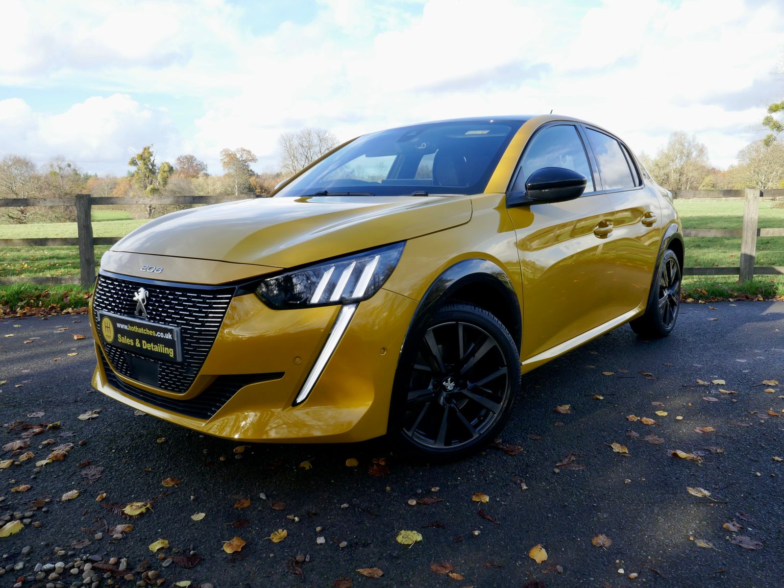 Peugeot 208 1.2 PureTech GT Premium Hatchback 5dr Petrol Manual Euro 6 (s/s) (100 ps) 5dr Manual 2026