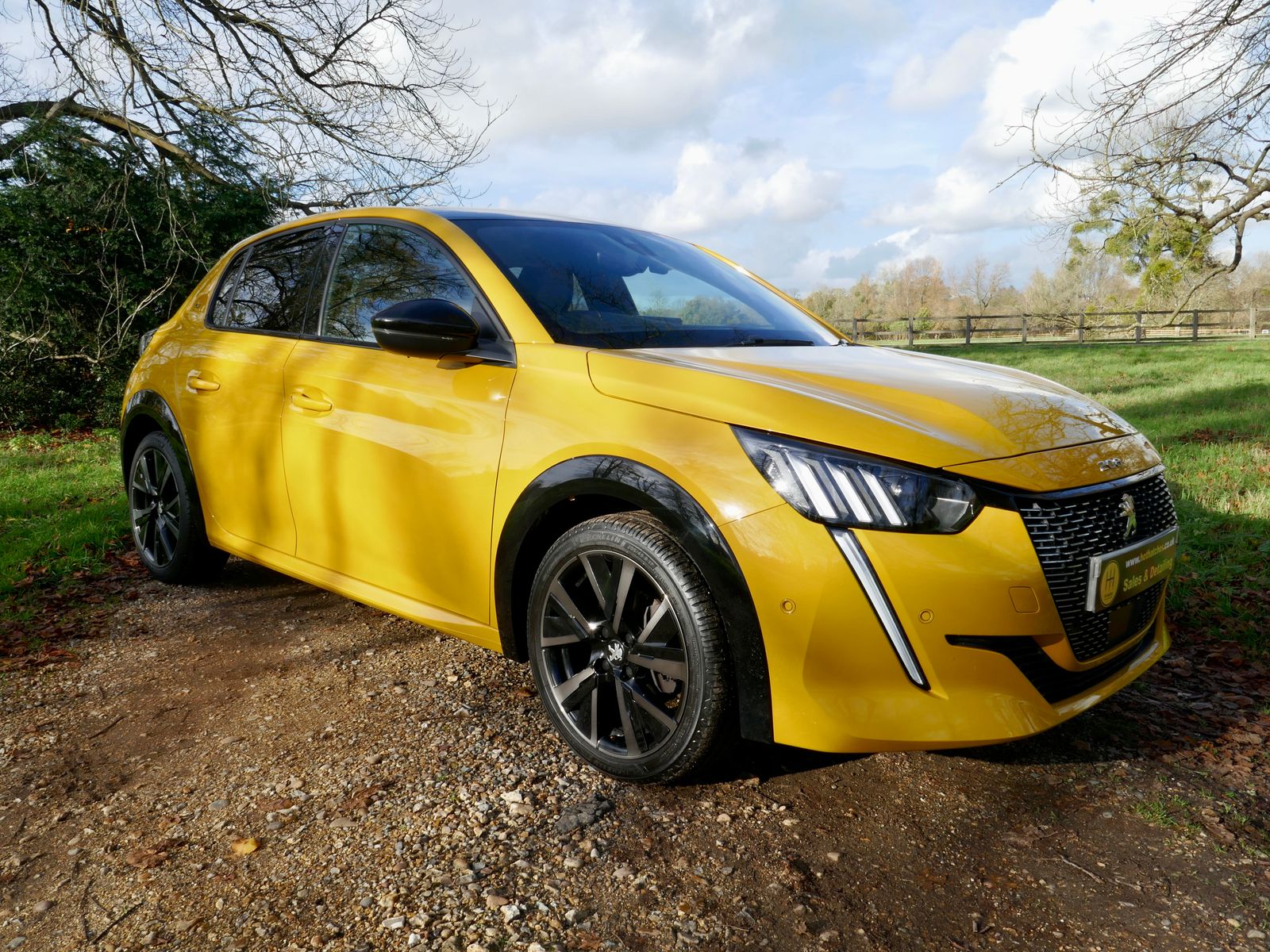 Peugeot 208 1.2 PureTech GT Premium Hatchback 5dr Petrol Manual Euro 6 (s/s) (100 ps) 5dr Manual 2026