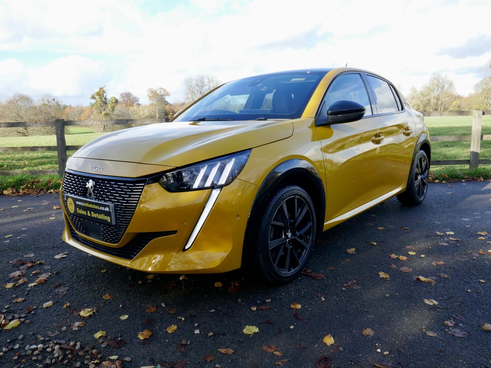 Peugeot 208 1.2 PureTech GT Premium Hatchback 5dr Petrol Manual Euro 6 (s/s) (100 ps) 5dr Manual 2026