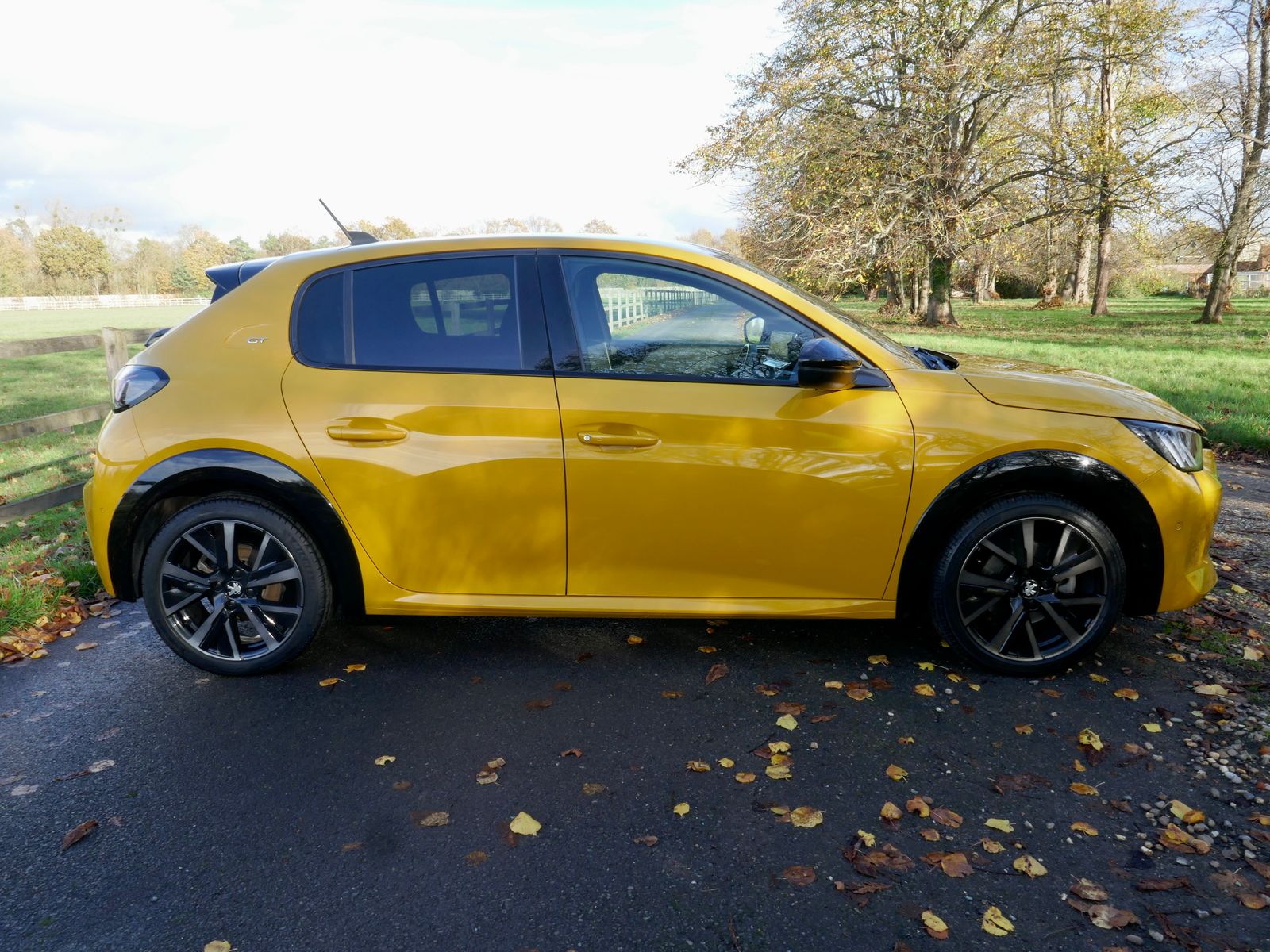 Peugeot 208 1.2 PureTech GT Premium Hatchback 5dr Petrol Manual Euro 6 (s/s) (100 ps) 5dr Manual 2026