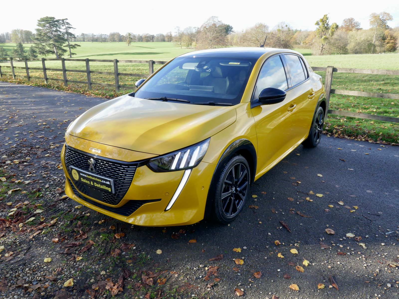 Peugeot 208 1.2 PureTech GT Premium Hatchback 5dr Petrol Manual Euro 6 (s/s) (100 ps) 5dr Manual 2026