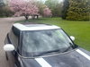 MINI Cooper "DEPOSIT TAKEN"!!!!       1.5 Cooper Exclusive Hatchback 3dr Petrol Steptronic Euro 6 (s/s) (136 ps) 3dr Automatic 2026