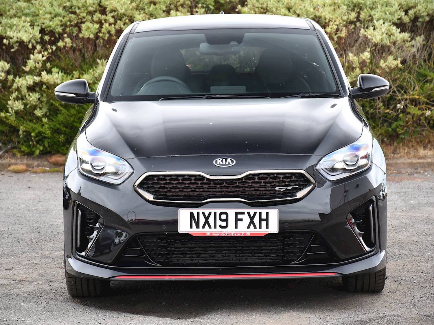 Kia ProCeed GT ISG DCT 5dr Automatic 2026