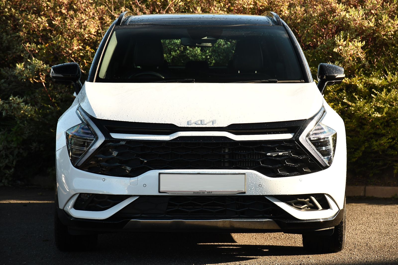 Used Kia Sportage 1.6 h T-GDi GT-Line S SUV 5dr Petrol Hybrid Auto