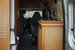 Ford Transit 2.4 DIESEL AUTO-SLEEPER  DUETTO CAMPER 3dr Manual 2004