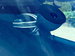 MINI Clubman 1.5 Cooper Auto Euro 6 (s/s) 6dr 6dr Automatic 2016