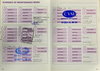 MINI Hatch 1.6 Cooper Hatchback 3dr Petrol Manual Euro 4 (120 ps) 3dr Manual 2026