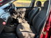 Ford Focus 1.6i 16v Zetec 5dr 5dr Manual 2004