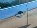 Nissan Qashqai 1.3 DIG-T N-Connecta SUV 5dr Petrol Manual Euro 6 (s/s) (140 ps) 5dr Manual 2020