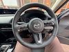 Mazda CX-30 2.5 e-SKYACTIV G MHEV Takumi Euro 6 (s/s) 5dr 5dr Manual 2026