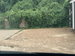 Mazda Mazda2 1.5h Select CVT Euro 6 (s/s) 5dr 5dr Automatic 2023