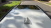 BMW 5 Series 2.5 523i M Sport Touring 5dr Petrol Manual Euro 4 (177 ps) 5dr Manual 2026