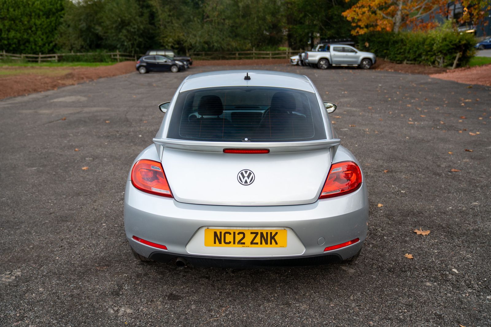 Volkswagen Beetle auto