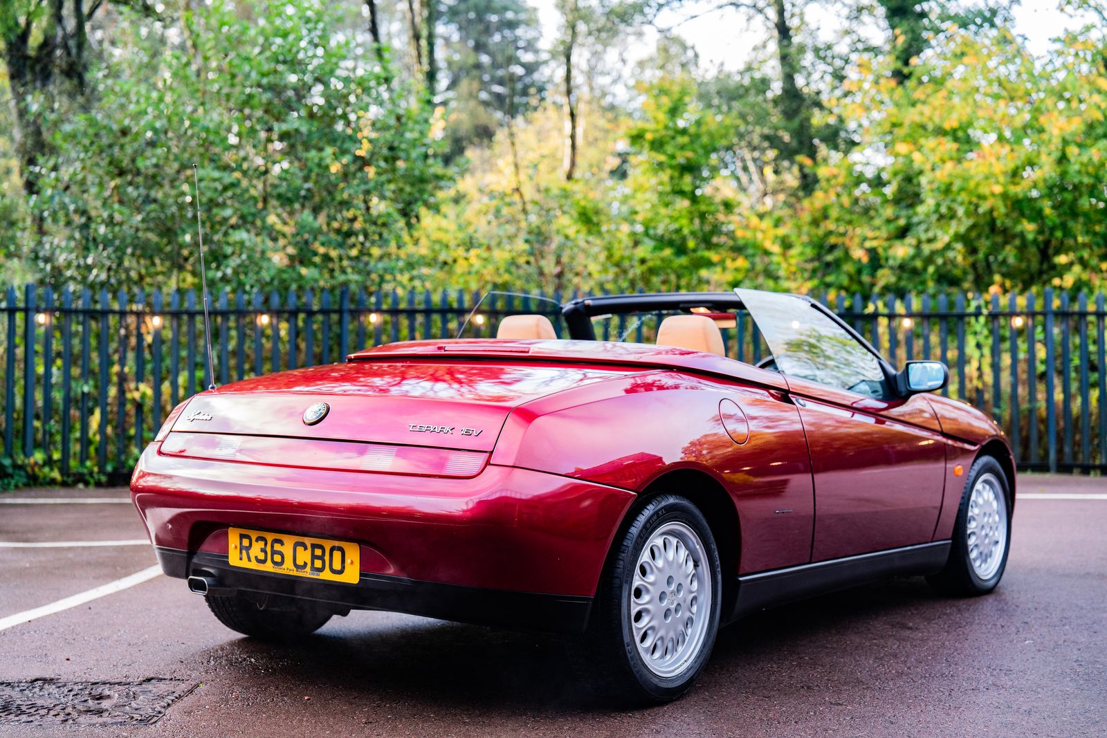 Alfa Romeo Spider