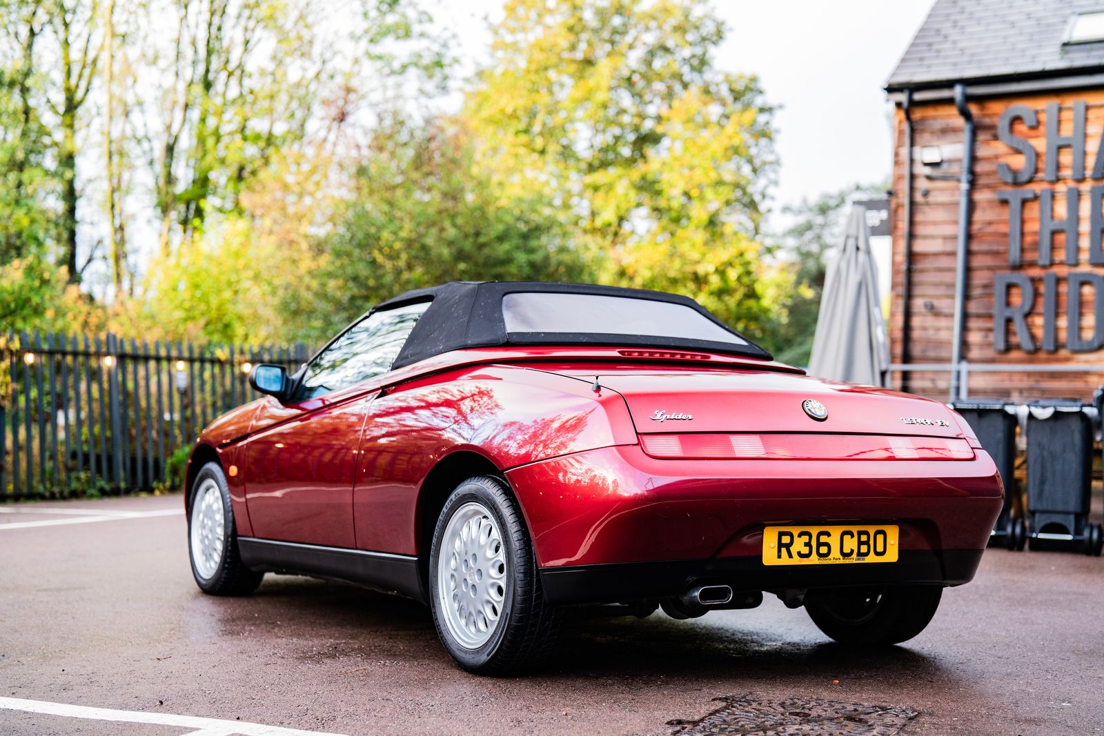 Alfa Romeo Spider